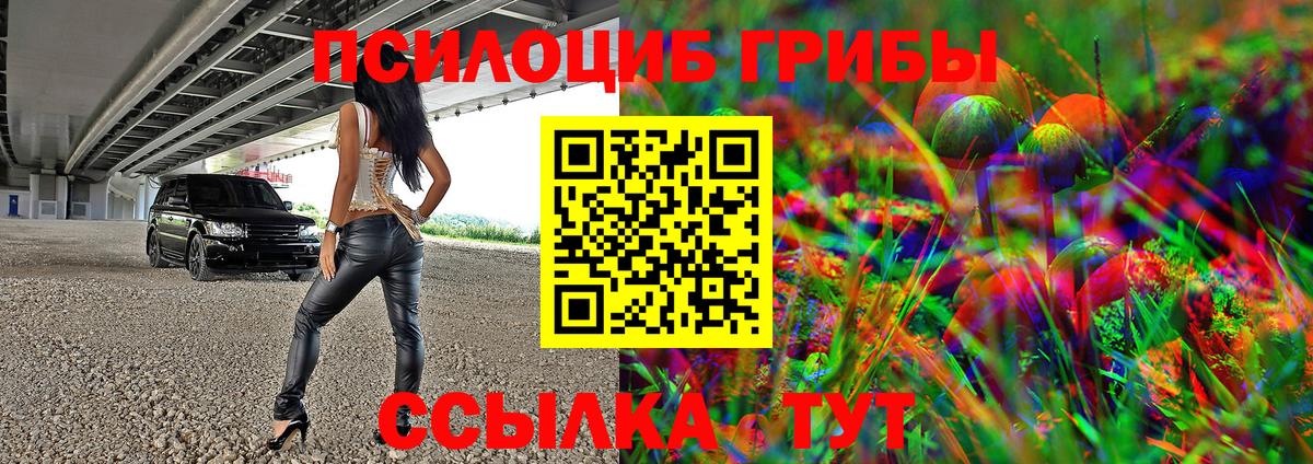 Новочебоксарск  Галлюциногенные грибы Magic Shrooms  Псилоцибиновые грибы Magic Shrooms  Вход с VPN 